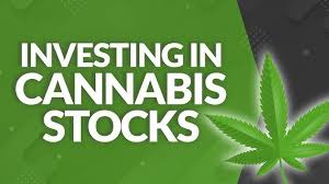 5starsstocks.com cannabis